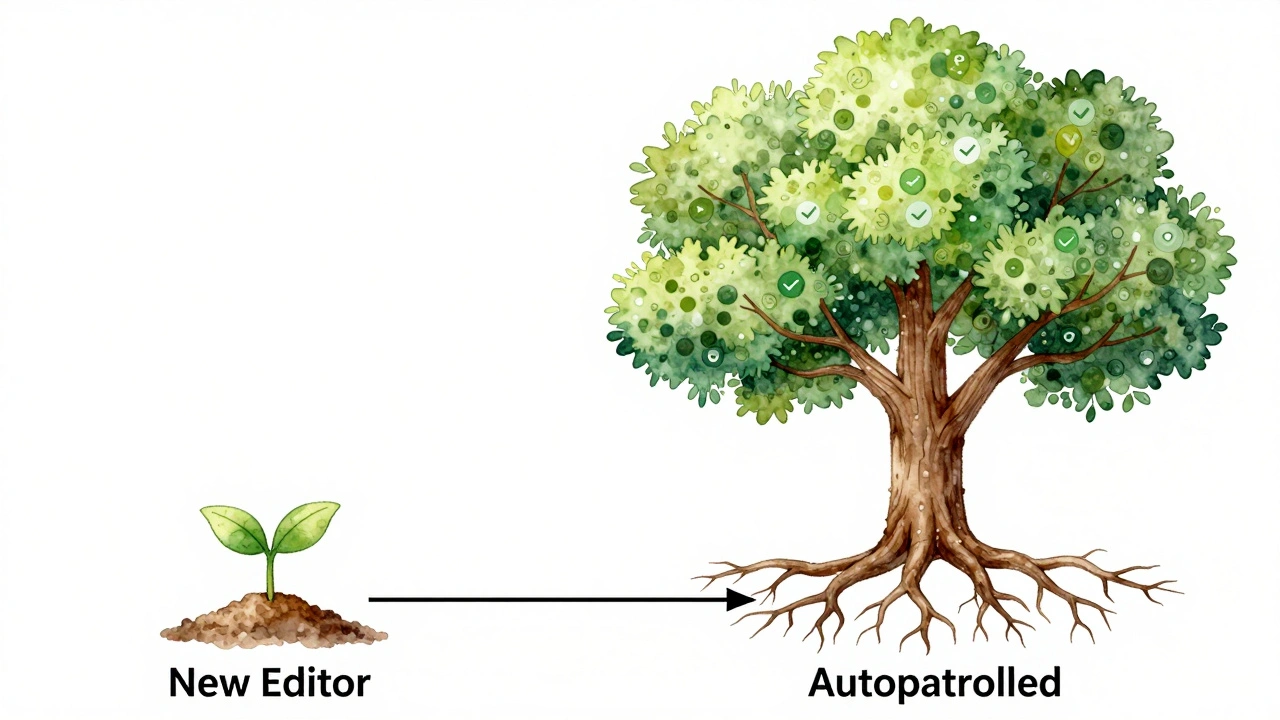 A tree grows from edit histories, with a mature oak representing autopatrolled status, symbolizing trust earned over time.
